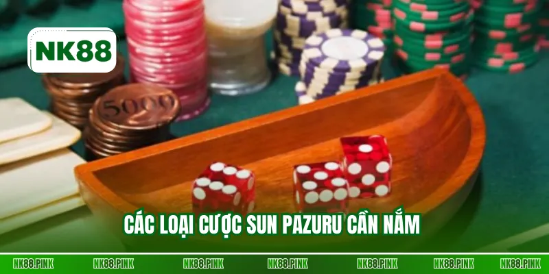 Các loại cược Sun Pazuru cần nắm