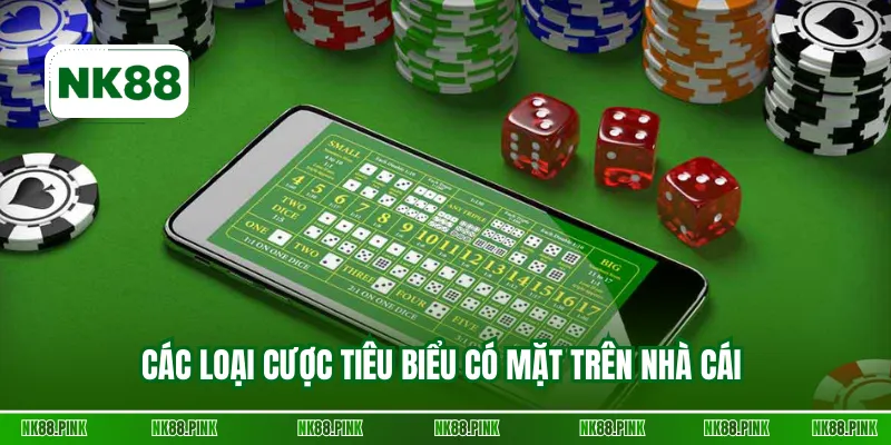 Các loại cược tiêu biểu có mặt trên nhà cái